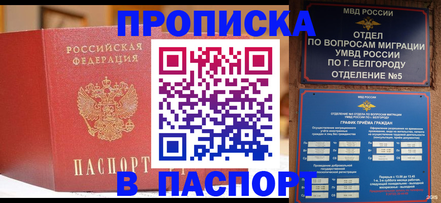 временная регистрация в квартире в Никольском